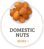 Domestic Nuts